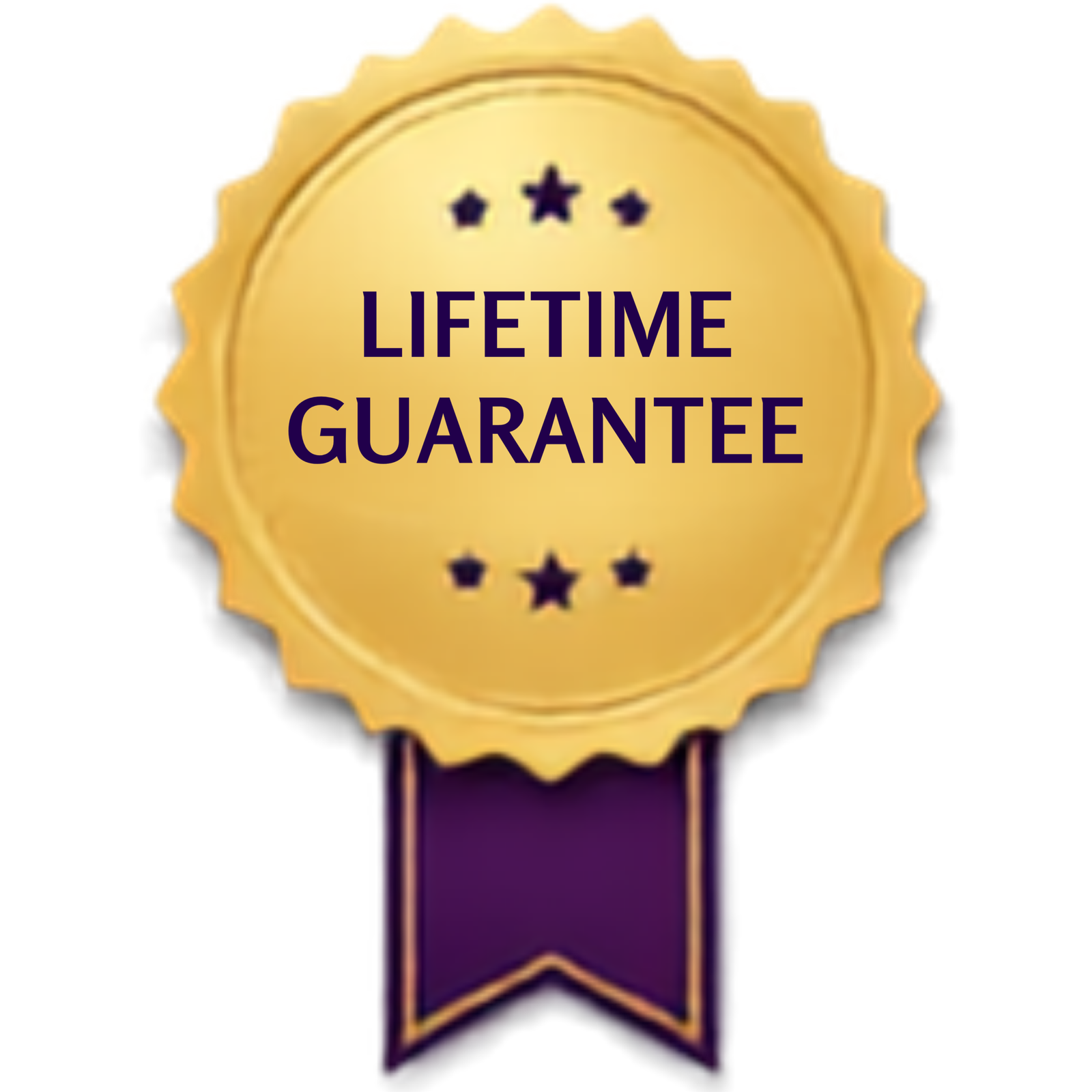 Lifetime warranty certificate icon